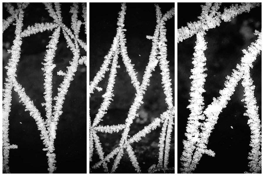 Frostige Typografie