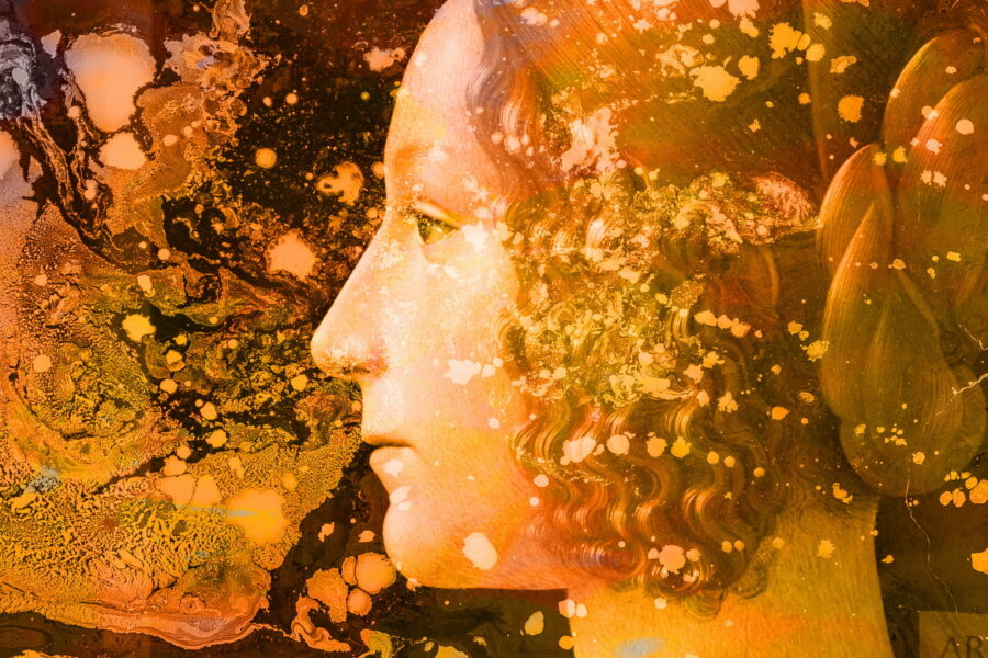 Amber-umschlossene-Schoenheit