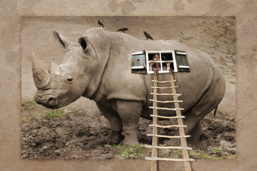 Hilfe-ich-will-hier-raus