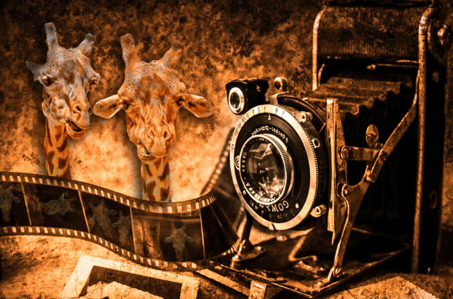 Im-Fotoatelier