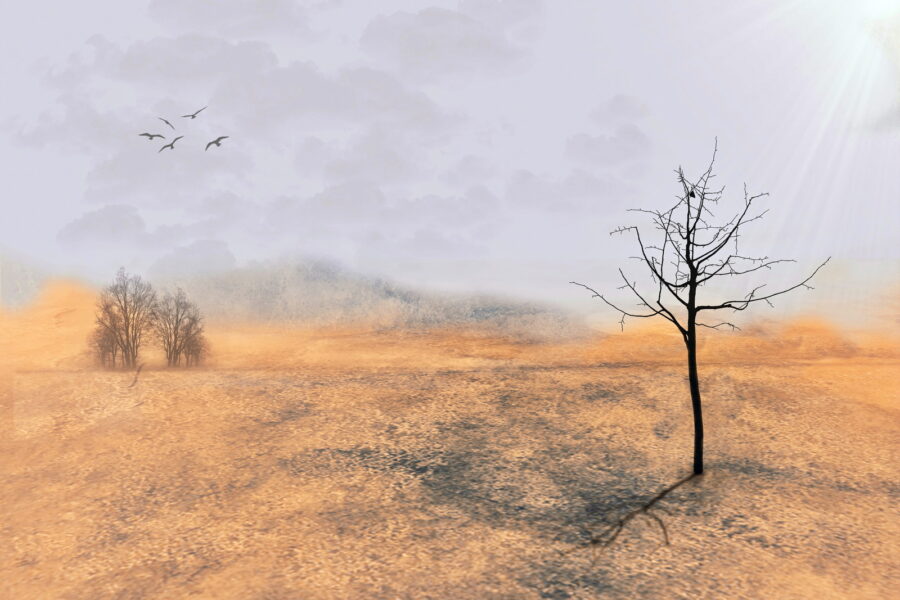 Mein-Freund-der-Baum-1