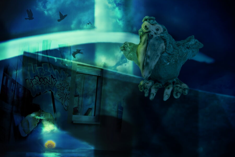Vögel der Nacht