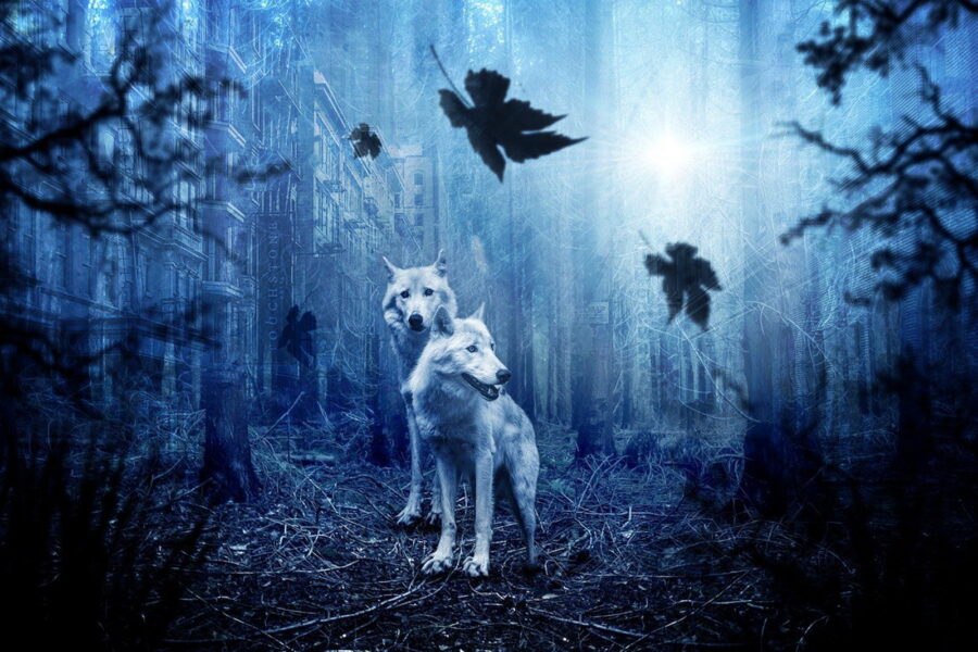 Wolfsland