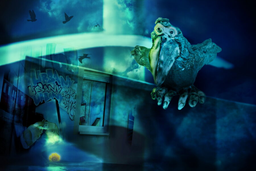 Vögel der Nacht