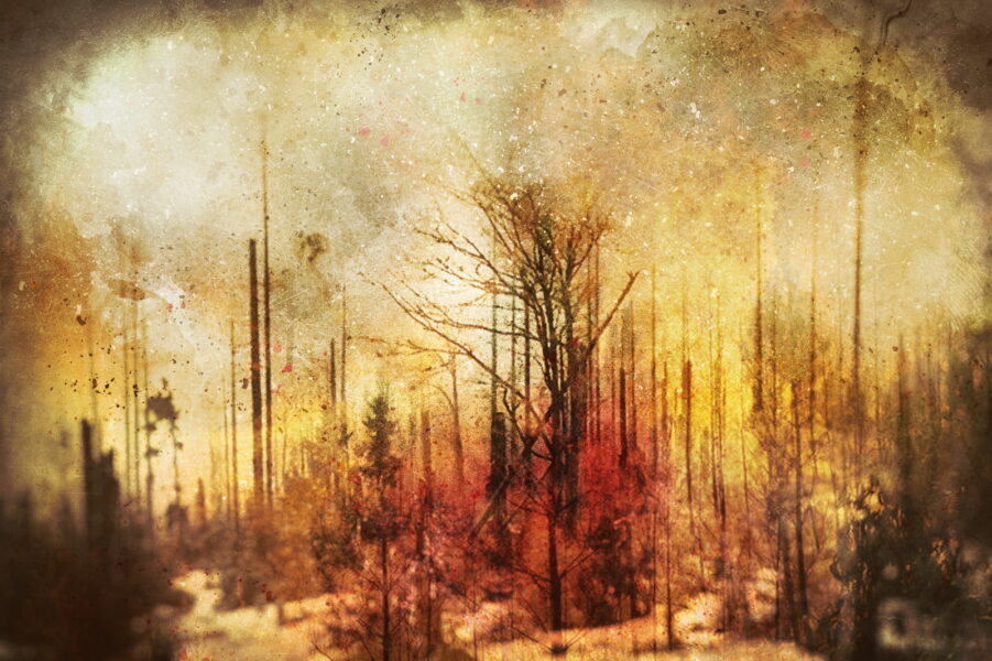 Feuersbrunst