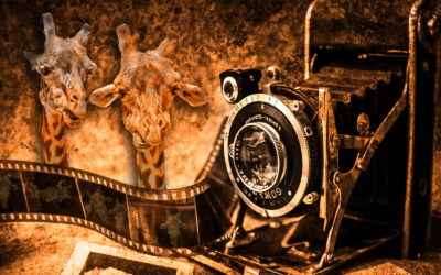 Im Fotostudio